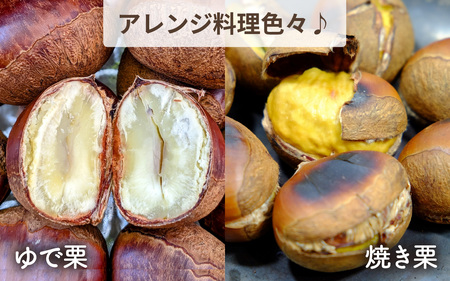 【先行予約】中町栗園の能登栗3kg～能登の大地で育った能登栗～【2025年9月下旬より順次発送】 / 能登半島 奥能登 くり 生栗 マロン 和栗 焼き栗 栗ごはん 焼き栗 国産 果物