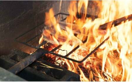 【偶数月６回定期便】厳選かつおの完全わら焼きたたき【１節入り】藁焼き カツオ 鰹 高知 かつおのたたき 正規品（ not 訳あり ） 頒布会