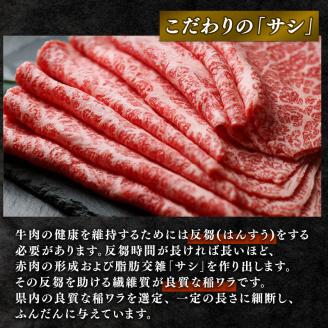 【定期便3回】 近江牛 すき焼き しゃぶしゃぶ 赤身 500g × 3ヶ月 1,500g 牛肉 肉  国産 ブランド牛 三大和牛 和牛 黒毛和牛 竜王産 産地直送 澤井牧場 滋賀県 竜王町 冷凍