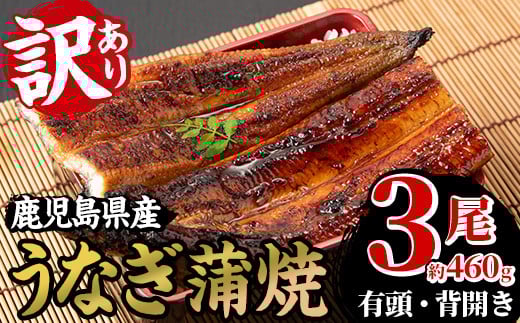 ＜訳あり＞国産うなぎ(鹿児島県産うなぎ)蒲焼(3尾・約460g) 国産 国産魚 九州産 鹿児島県産 魚 魚介 魚介類 鰻 うなぎ 蒲焼 蒲焼き 訳あり 訳アリ 規格外 惣菜 冷凍【南竹鰻加工】【B-398H】