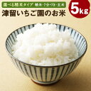 【ふるさと納税】津留いちご園のお米 5kg 白米/7分づき/玄米 選べる精米タイプ 精米 お米 ヒノヒカリ 栽培期間中無農薬 令和6年産 九州産 福岡県産 送料無料【2024年11月上旬～2025年10月下旬に順次発送予定】