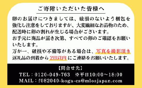 AG14_【定期便6か月】江原ファーム　体に優しい地養卵（30個）
