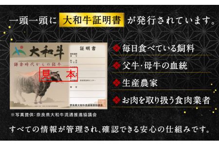 希少和牛肉 大和牛ヒレステーキ用【年末年始12月26日?1月7日の着日指定不可 】牛肉 特上牛肉 特選和牛 ヒレ 黒毛和牛 ステーキ 肉 国産牛肉 ジューシー 肉 牛肉 旨いお肉 ステーキ 肉 牛肉 