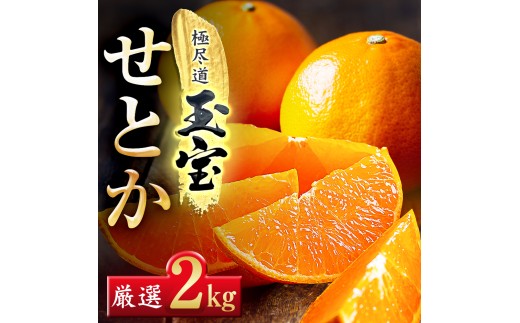 【先行受付】「玉宝ブランド」＜せとか＞2kg＜C64-46＞_みかん せとか 蜜柑 ミカン 愛媛 柑橘 かんきつ 愛媛みかん 果物 くだもの フルーツ 果実 青果 デザート おいしい 2kg 1箱 産直 産地直送 愛媛県 国産 送料無料 【1511267】 YWTY035