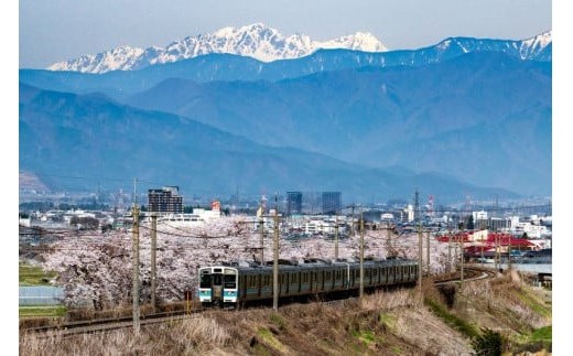 樽香広がる、深み極まるメルロ