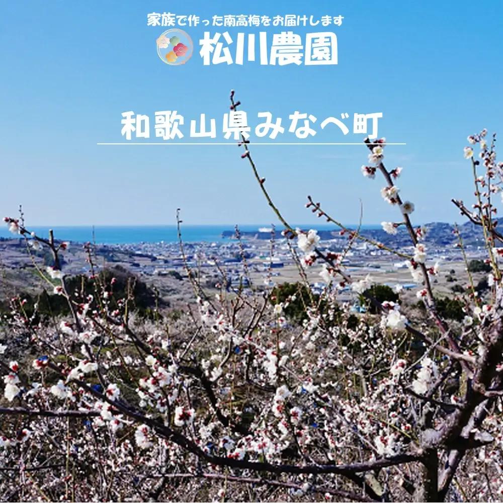 てっちゃんの梅(しそ漬け梅) matunou003A【matunou003A】