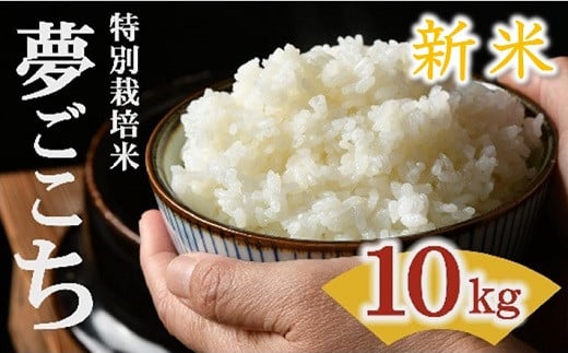 
            夢ごこち 特別栽培米 10kg 【 新米予約 9月以降発送 】 (令和７年産 米 お米 こめ コメ おこめ 白米 精米 こしひかり コシヒカリ 品種改良 モチモチ 特別栽培米 新米 予約 新米予約 人気 三重県 松阪市 ) 【3-195】
          