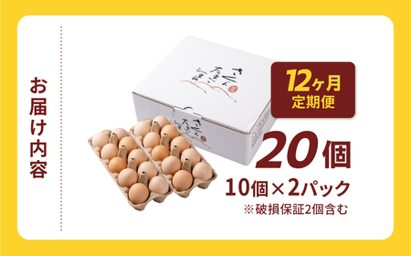 【定期便12ヶ月】純国産鶏 さくらたまご 20個｜たまご