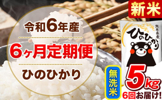 令和6年産新米 【6ヵ月定期便】 無洗米 ひのひかり 定期便 5kg 5kg×1袋《お申込み翌月から出荷開始》 熊本県産 精米 ひの 米 こめ ヒノヒカリ コメ お米