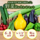 【ふるさと納税】 新鮮野菜セット 6～8品目 レシピ付き 詰め合わせ 産地直送 高知県 須崎市 新玉ねぎ そら豆 スナップえんどう 春キャベツ フルーツトマト じゃが芋 みょうが ズッキーニ オクラ かぼちゃ トマト 秋 旬 新鮮 ふるさと納税野菜 ふるさと納税セット