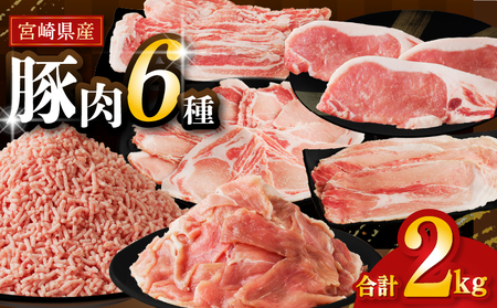 【2週間以内発送】≪宮崎県産≫豚肉6種＼てげスゲーセット／合計2kg 肉 豚 豚肉 おかず 国産_T009-030-2W