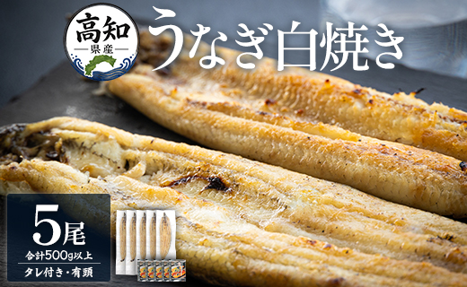 【限定100個】高知県産うなぎの白焼き 100ｇ～120ｇ×5尾 - 国産 鰻 ウナギ 有頭 背開き タレ付き つまみ ご飯のお供 老舗 土佐湾 吉川水産 高知県 香南市 冷凍 yw-0085