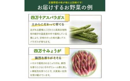 安心安全の地どれ野菜【旬が香る7種セット】自慢の特製ポン酢つき！／Qjs-05