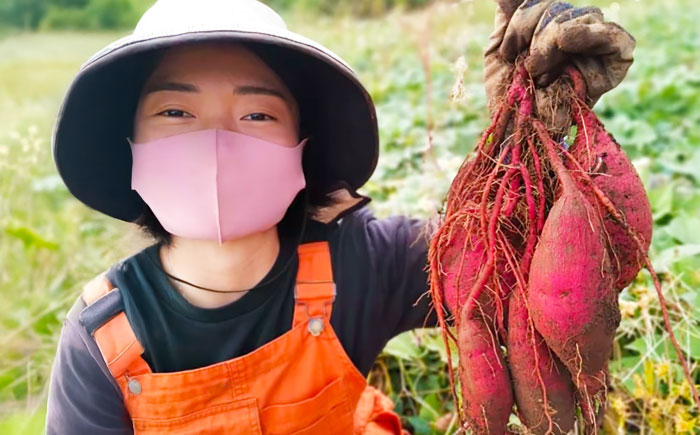 島の元気なさつまいも!ねっとり甘い『紅はるか』3kg 五島市/あわたに農園 [PGO001]