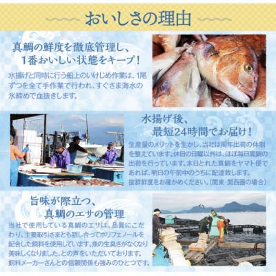 ふるさと納税 沼津市 沼津産　マダイのひもの10袋 |  | 03