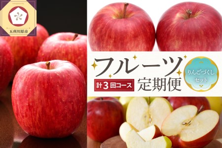 【2025年9月発送開始】 おいしい3種類☆フルーツ定期便【3回】（りんごづくし）りんご　訳ありセット