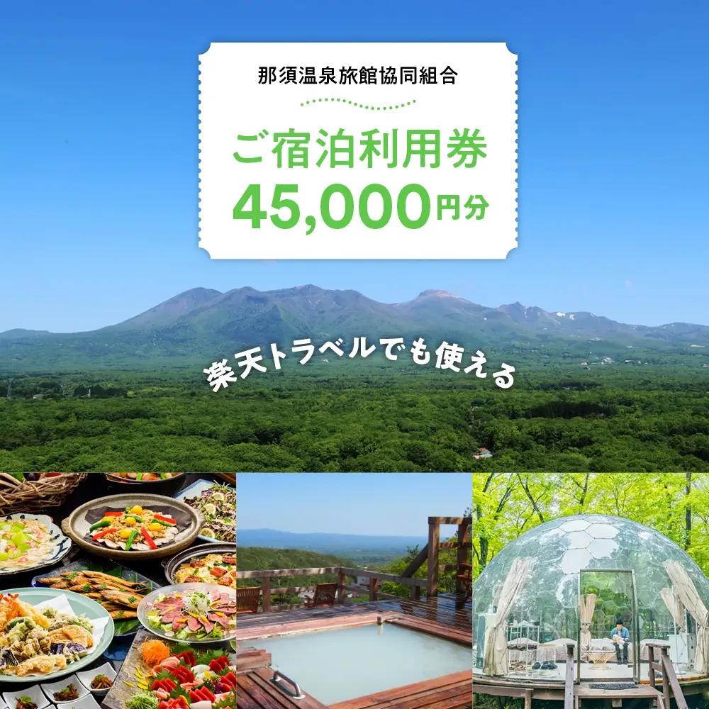 那須温泉旅館協同組合 ご宿泊利用券 45,000円分（3,000円×15枚）〔H-8〕｜宿泊 旅行 チケット 宿泊券 温泉 露天風呂 旅行券 ホテル 観光 国内旅行 那須 栃木県 那須町