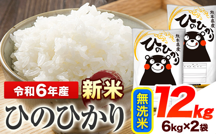 
            令和6年産 新米 早期先行予約受付中 ひのひかり 無洗米 12kg 《11月‐12月より出荷予定》 熊本県産 無洗米 精米 ひの 送料無料 熊本県 山江村
          