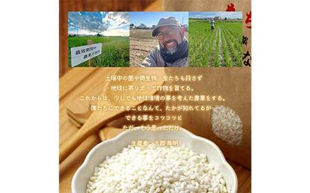 令和7年 足利市産 のりちゃん米 もち米 (きぬはなもち) 2kg＜栽培期間中 農薬・肥料不使用＞ 餅 もち 米 こめ 食品 農家 限定 2025年 年末 正月 新年 贈答 贈り物 ギフト プレゼント