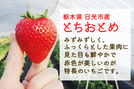 大粒とちおとめ [2パック／約500g]《2026年1月上旬より順次発送》｜先行予約 とちおとめ いちご イチゴ 苺 大粒 果物 果実 フルーツ 産地直送 日光市産 栃木県産 数量限定 [0784]