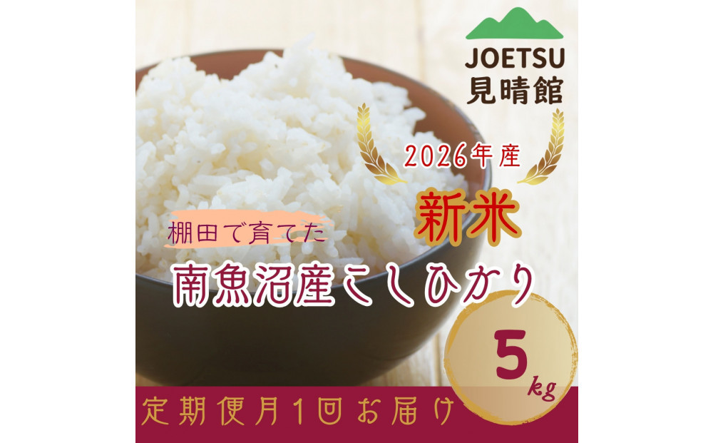 【令和8年産新米予約】【頒布会】〈塩沢地区限定・棚田米〉南魚沼産コシヒカリ　特別栽培米５割減農薬　精米５キロ×全６回【2026年10月上旬より順次発送予定】