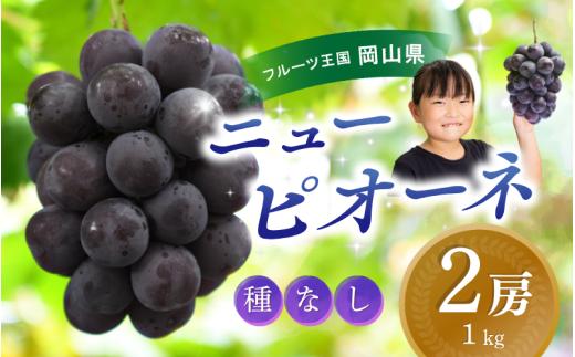 【2025年先行予約】ぶどう 岡山 花笑み農園『ニューピオーネ』1kg（2房） hana14 贈答 岡山 真庭 ピオーネ 高級 1kg 贈答 2025 真庭市 大粒 葡萄 果物 フルーツ 濃厚ピオーネ 人気 数量限定 2025年9月上旬～ 受付順に発送予定