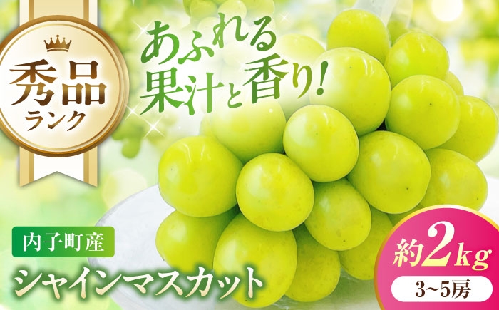 
                  シャインマスカット 【先行予約】 秀品 3～5房 約2kg ＜2026年8月下旬～発送開始＞ ／ シャインマスカット しゃいんますかっと シャイン マスカット ますかっと Shine Muscat 秀品 3～5房 皮ごと 葡萄 ブドウ ぶどう 旬 新鮮 フルーツ ふるーつ fruit 果物 くだもの 果実 人気 愛媛県 愛媛県産 内子町産 国産【株式会社フジ・アグリフーズ】 [BKAY005]
                