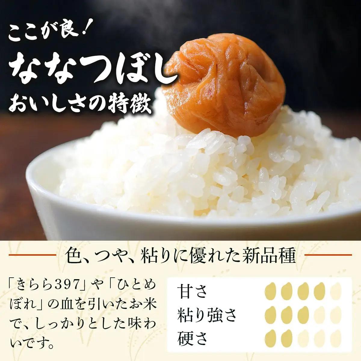令和7年産 山下商店ななつぼし 20kg | 北海道岩見沢産 ななつぼし 米 白米 お米 岩見沢市【a164-005】