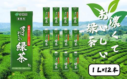 
                  濃くておいしいお茶 2ケース（1L×12本入り） | 茨城県 常陸太田市 茶 お茶 日本茶 緑茶 グリーンティー ドリンク 濃い 濃度 カテキン 健康 おいしい アイスティー 氷 緑茶割り お茶ハイ お酒 割材 業務用 紙パック 伊藤園
                