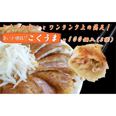 【ふるさと納税】浜松餃子 大須のぎょうざ［ 浜松ぎょうざ とまらぬコクと旨いを堪能！＜ こくうま味 ＞］× 5袋（1袋20個入、合計100個）　 惣菜 冷凍 冷凍ギョーザ 夕飯 つまみ 中華 ヘルシー ジューシー 手作り餃子 あっさり
