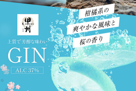 【定期便12回】甲州韮崎 ジン 700ml×2本 ハイボール スピリッツ 蒸留酒 国産 カクテル JIN ソーダ割り アルコール 37％ ボタニカル GIN ライム｜