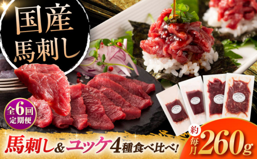 【全6回定期便】【本場・熊本特産】馬刺し4種の食べ比べ 3890 / 馬刺し 熊本馬刺し 国産馬刺し 熊本 菊陽 ユッケ 馬刺  タレ 醬油 生姜【株式会社フジチク】 [BHAD064]