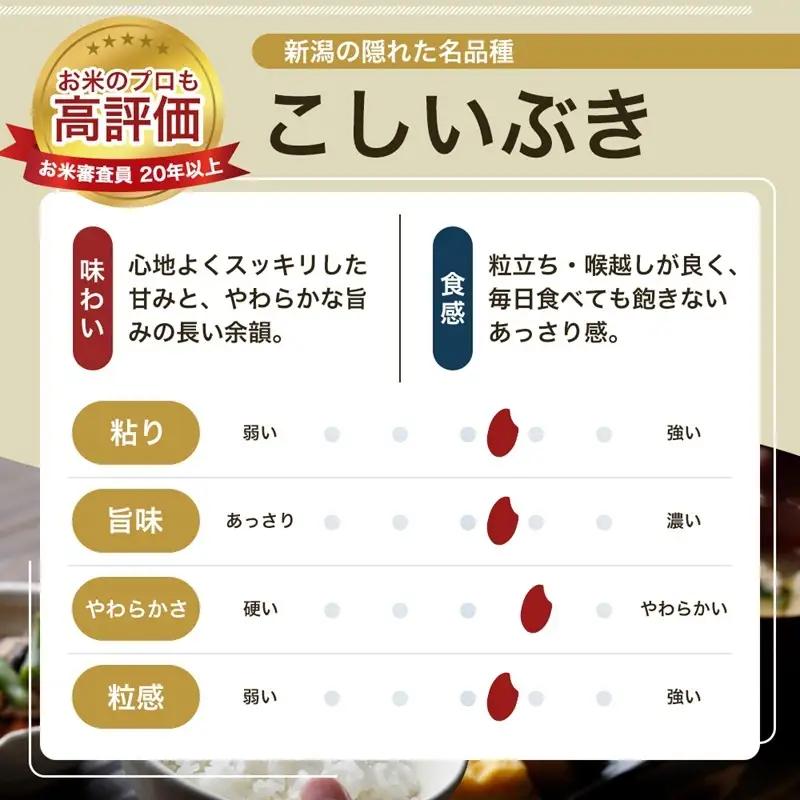 令和8年産 先行予約 新潟県 上越市産米 こしいぶき 【隔月配送】 定期便 5kg×3回 計15kg 3か月 新米 精米 米ヴィレッジさんわ 上越市三和区