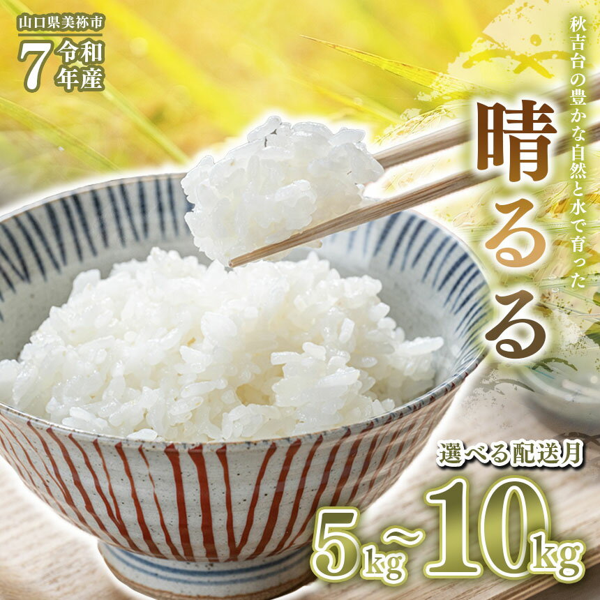 【ふるさと納税】 令和7年度産 新米 晴るる ( 白米 5kg ～ 10kg ) 先行予約 ＜ 2025年10月中旬より順次発送予定 ＞ ｜ 米 精米 新米 白米 米 雑穀 お米 コメ 単一米 晴るる はるる 山口 美祢 5kg 10kg とよたファーム