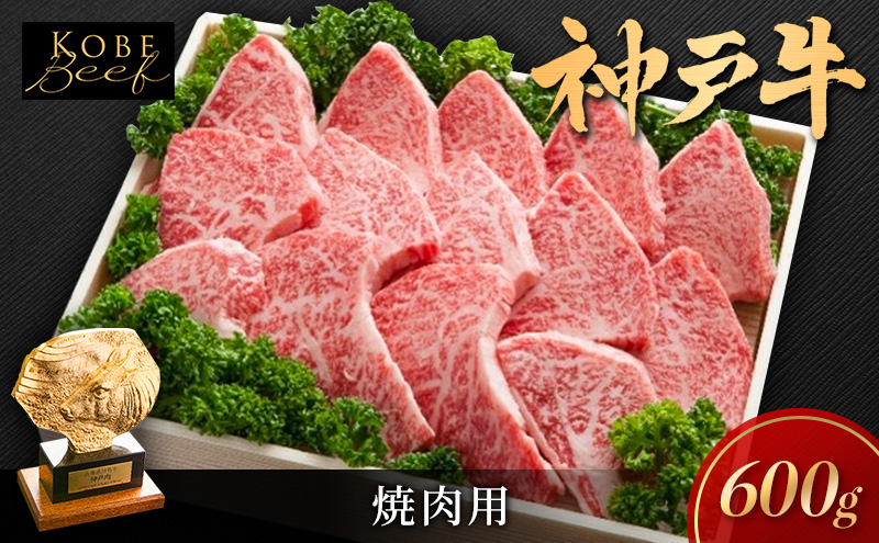 
神戸ビーフ KSY3 焼肉用 600g 神戸牛 焼肉 太田家 冷凍 肉 牛肉 小分け
