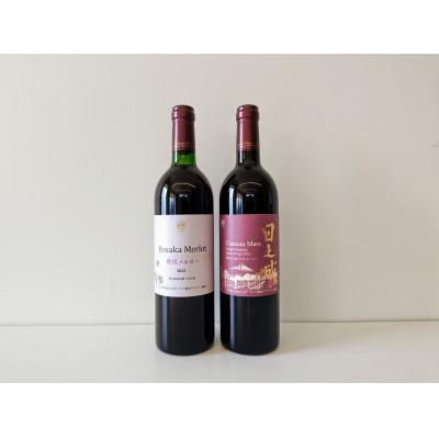ふるさと納税 韮崎市 ワイン 赤 マルスワイン750ml 2本セット 〜冬の陣〜　本坊酒造 マルス穂坂ワイナリーからお届け