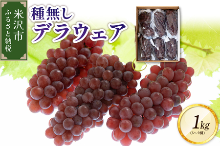 【先行予約】 令和8年産 ぶどう 種無し デラウェア 1kg ( 5～9房 )  2026年7月下旬頃～ お届け予定