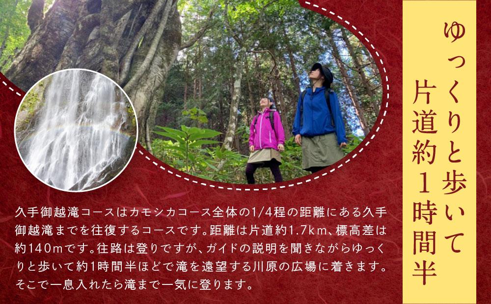 平湯温泉 【匠の宿深山桜庵】 1泊2食＆五色ヶ原トレッキング（久手御越滝コース）＋送迎付き【期間限定：2024年6月～10月】 LQ011