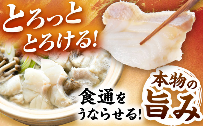 クエ鍋用クエパック500g×2 五島市/金沢鮮魚 クエ くえ 鍋 お鍋 冬 高級 贅沢 [PEP024]