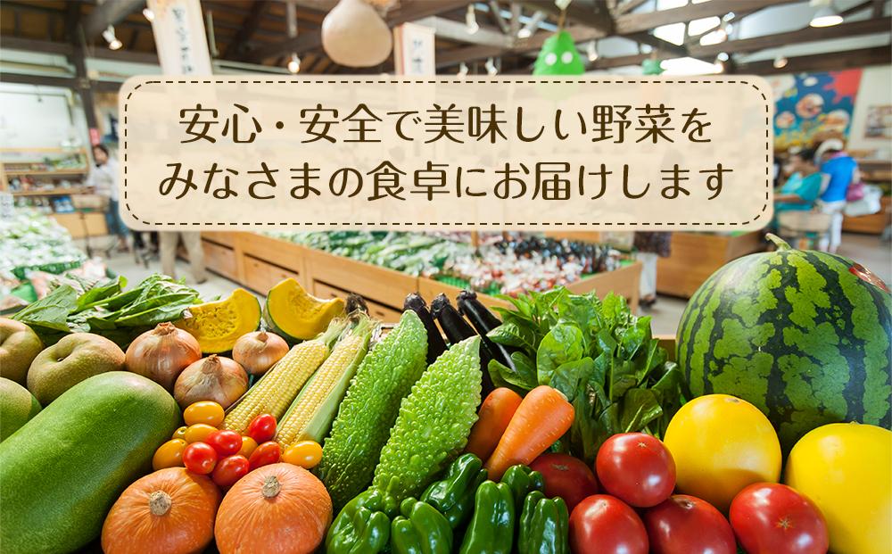 ※次回公開時に「常温」に変更要※あぐりん村の新鮮野菜宅配BOX　クール便配送期間