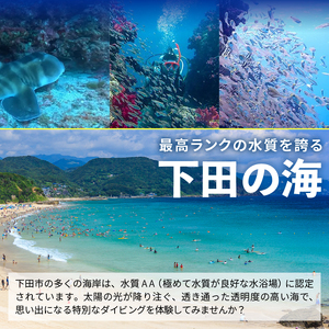 ＜ドラゴンレディ＞すべてのダイバーが身につけておきたい! PADI レスキュー・ダイバー・コース(3日間) [マリンスポーツ アクティビティ]
