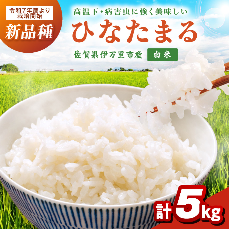 伊万里産米ひなたまる精米5ｋｇ 113-B888