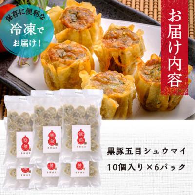 ふるさと納税 志布志市 鹿児島県志布志産黒豚使用 南国熊曽黒豚五目シュウマイ 計60個(10個×6パック) |  | 01