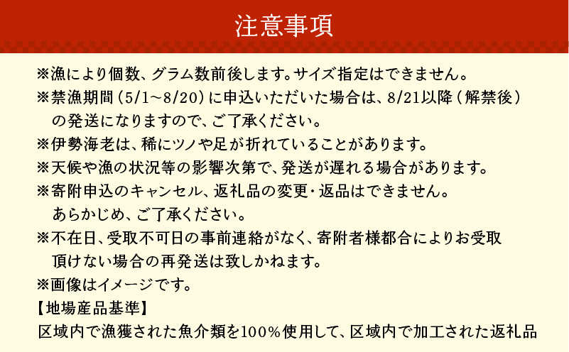 沖永良部島直送！素潜り漁師オススメのボイル済み冷凍伊勢海老 約500g（1～2匹）！　W030-017