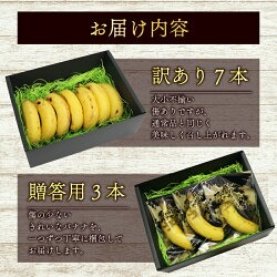 【冷凍フルーツ】高知県産 侍バナナ｜無農薬・国産・農家直送 手のひらサイズ 1kg バナナ フルーツ 果物 冷凍フルーツ バナナ サムライ スムージー ふるさと納税 冷凍バナナ 1kg（￥50,000