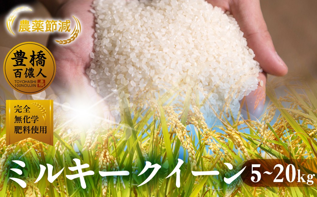 
                  令和7年産 ミルキークイーン 5kg ~ 20kg 1回お届け 定期便 3回 ~ 12回 白米 ブランド米 5kg ミルキー ﾐﾙｷｰｸｲｰﾝ お米 こめ 米 コメ ご飯 生活必需品 日用品 定期 定期配送 人気 美味しい 取り寄せ 5キロ 10キロ 20キロ 6か月 送料無料 愛知県 豊橋市
                