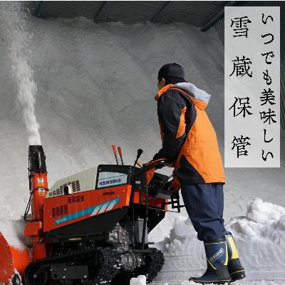 ふるさと納税 阿賀町 【令和7年産】新潟県奥阿賀産こしひかり10kg(5kg×2) |  | 03