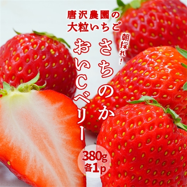 《先行予約/数量限定/2月上旬～順次発送》唐沢いちご農園 大粒いちご食べ比べ さちのか＆おいCべりー（各380g×1パック）