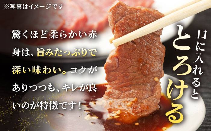 特選 壱岐牛 モモ 500g （焼肉）《壱岐市》【太陽商事】[JDL003] 肉 牛肉 モモ 赤身 焼肉 BBQ 22000 22000円 2万円