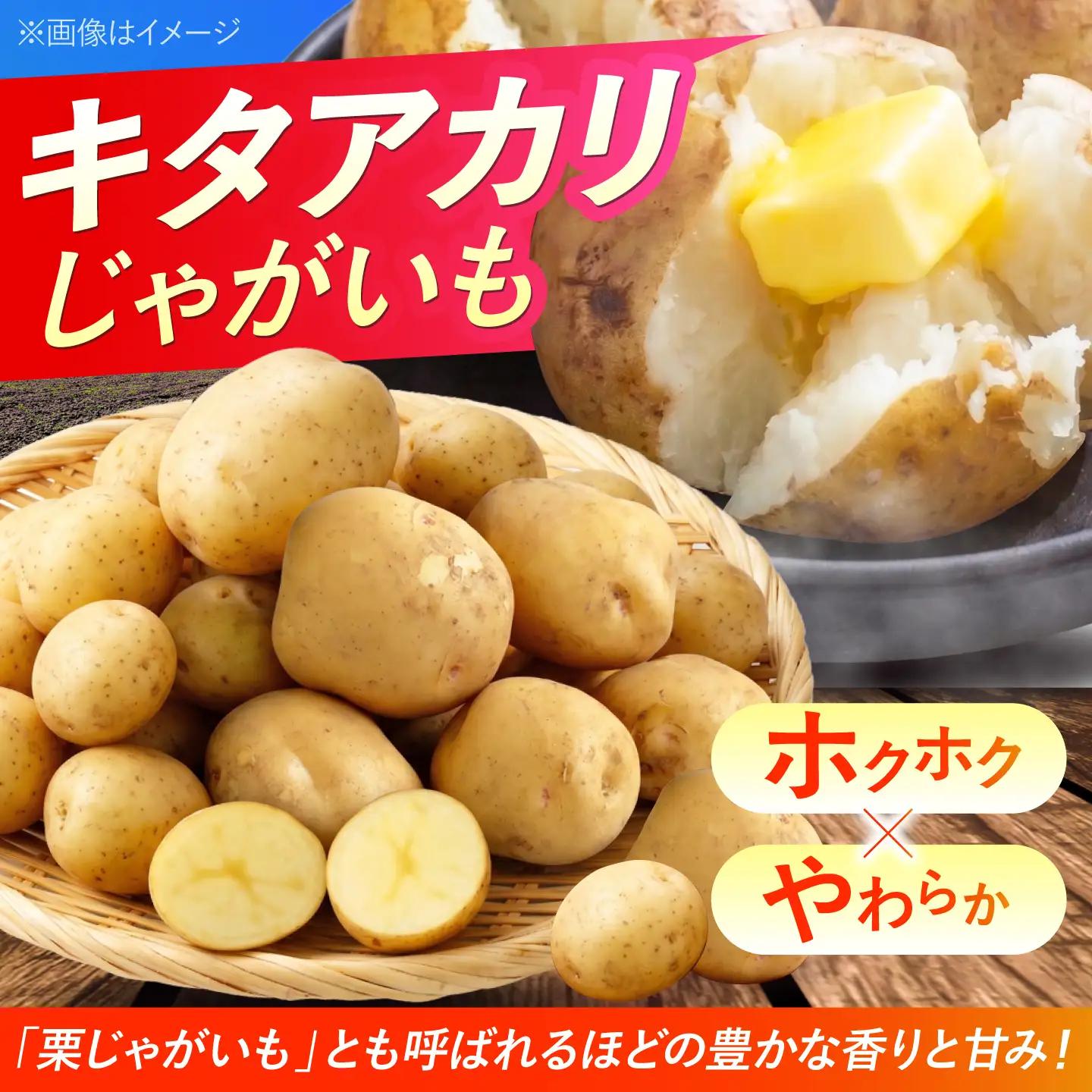 じゃがいも キタアカリ 20kg | じゃがいも ジャガイモ キタアカリ 野菜 季節の野菜 北海道 産地直送 先行予約 | 株式会社Aコープようてい[BPAT006]